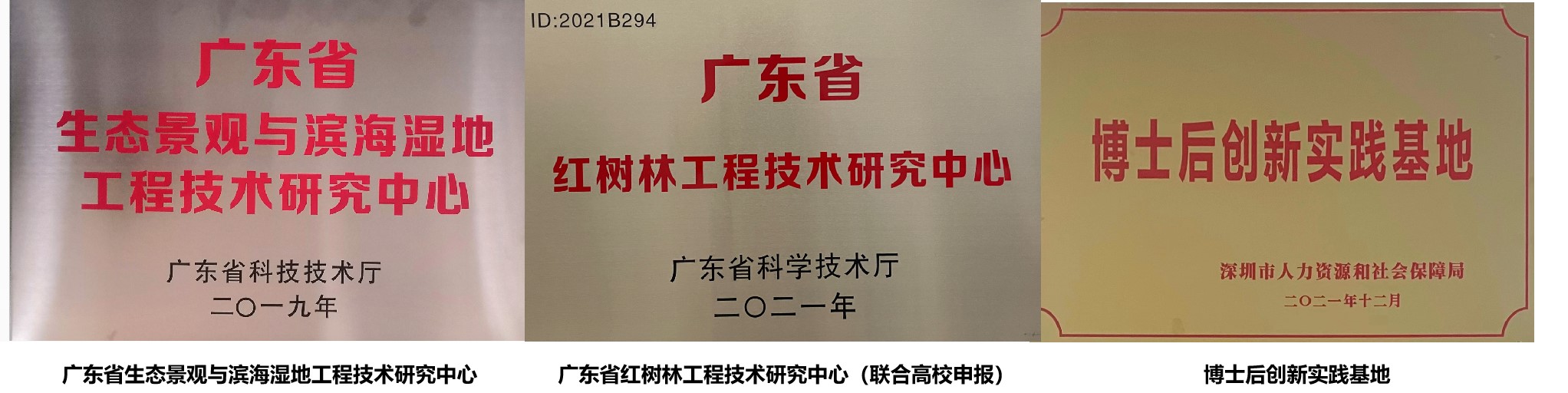 研發平1